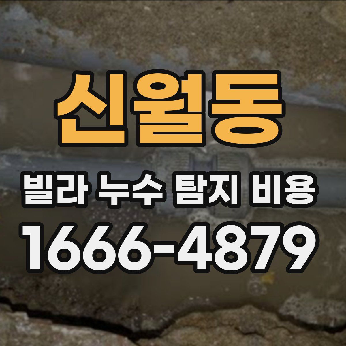 신월동 빌라 누수 탐지 비용