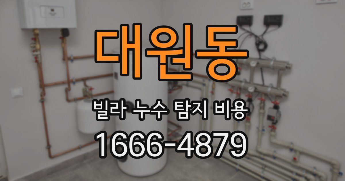 대원동 빌라 누수 탐지 비용
