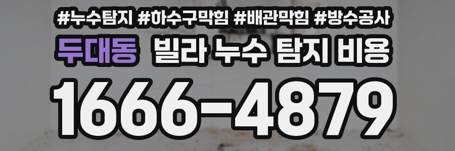 두대동 빌라 누수 탐지 비용