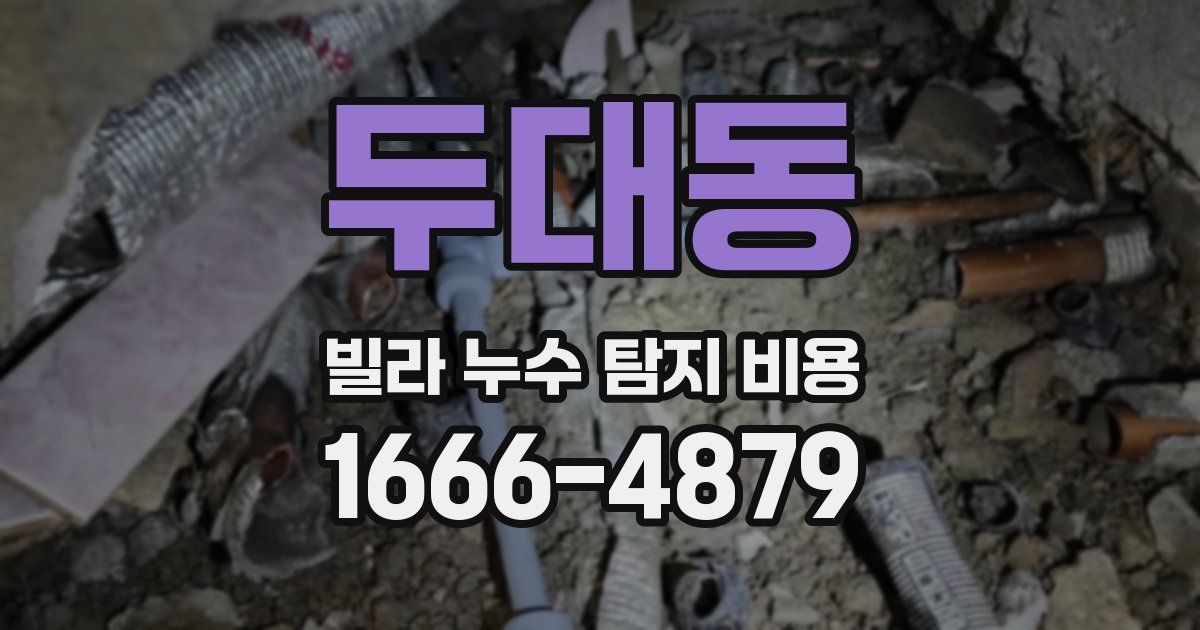 두대동 빌라 누수 탐지 비용