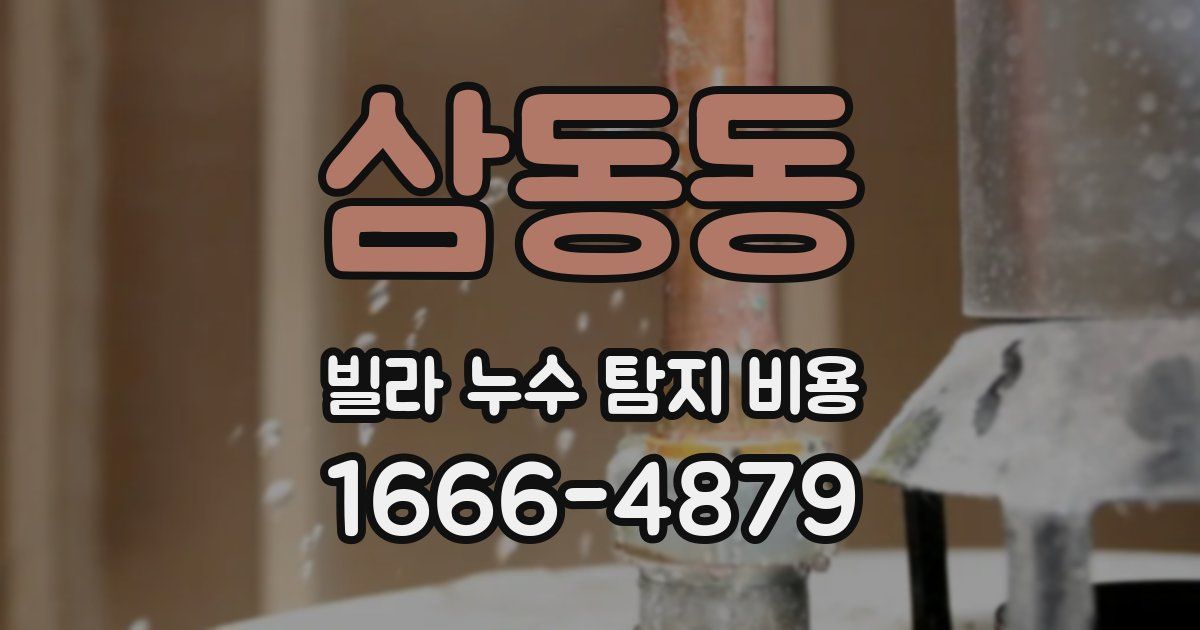 삼동동 빌라 누수 탐지 비용