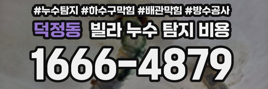 덕정동 빌라 누수 탐지 비용