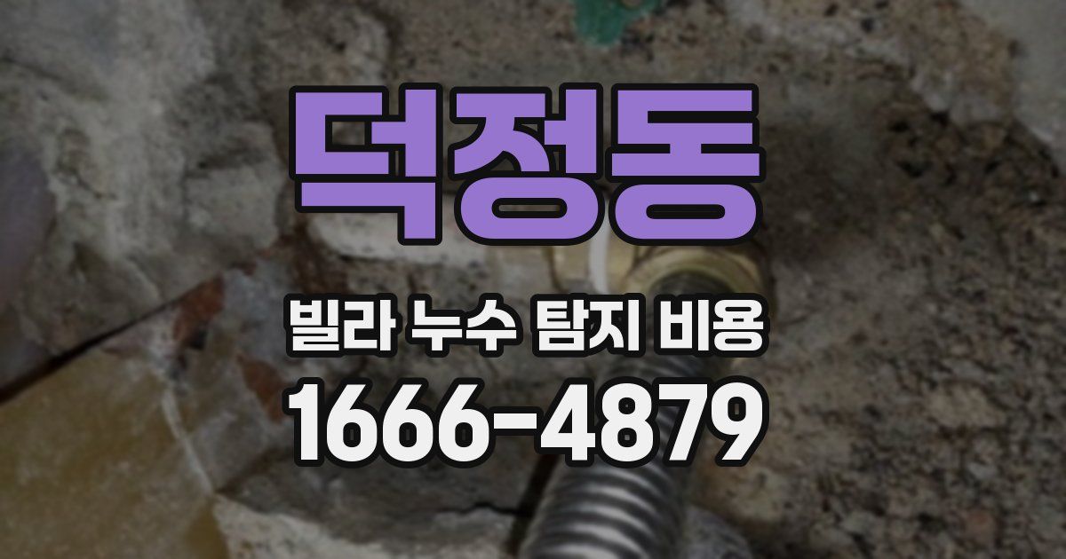 덕정동 빌라 누수 탐지 비용