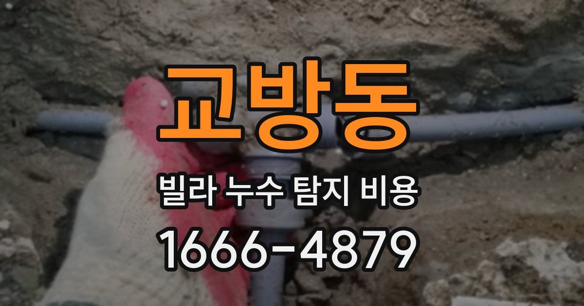 교방동 빌라 누수 탐지 비용
