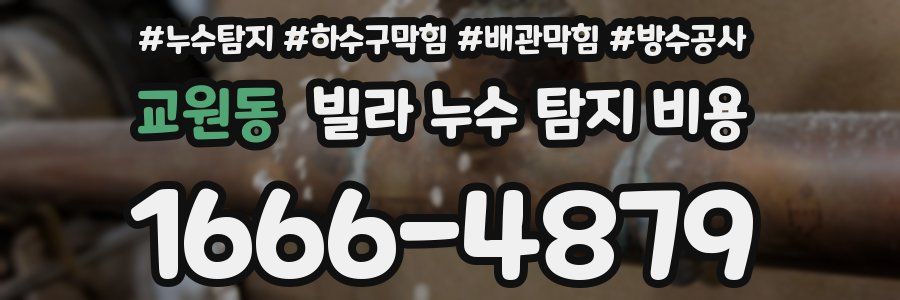 교원동 빌라 누수 탐지 비용