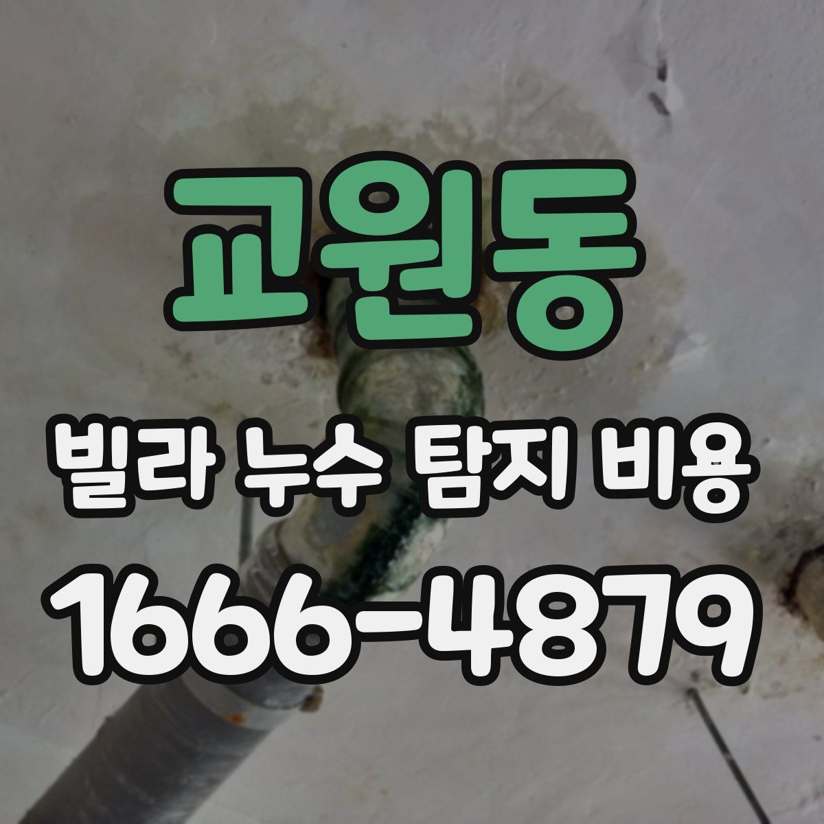 교원동 빌라 누수 탐지 비용