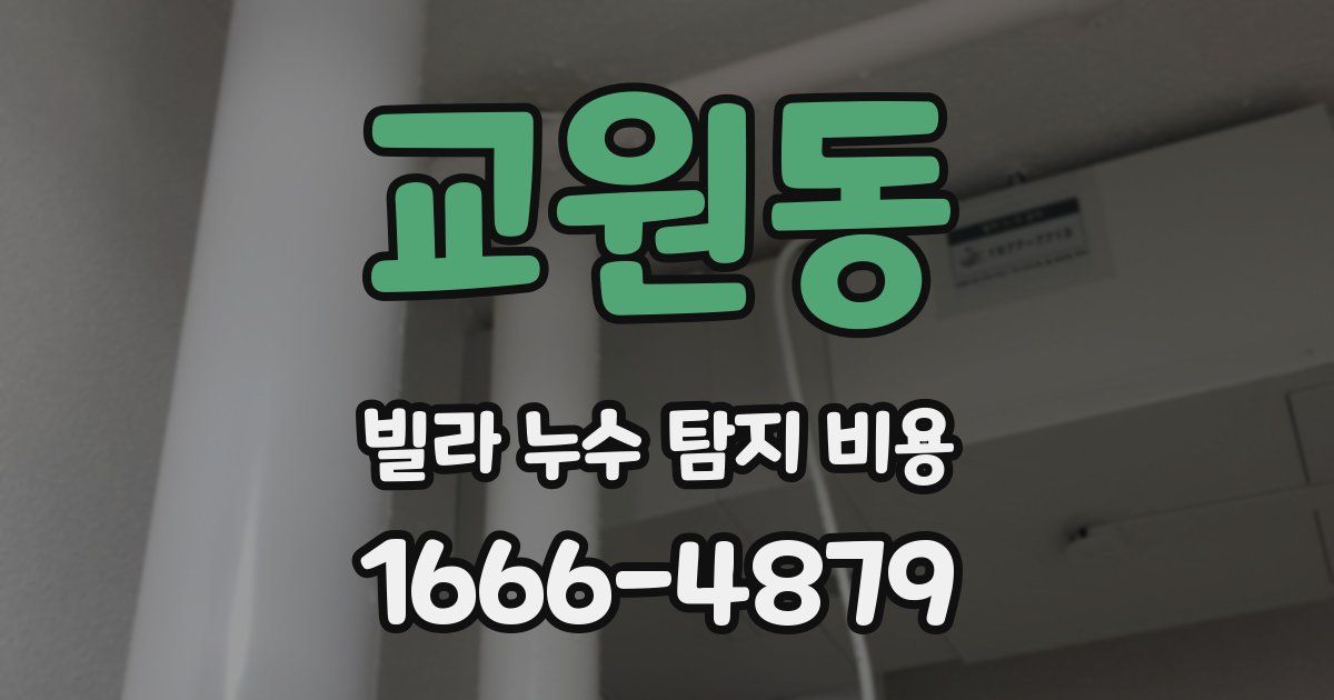 교원동 빌라 누수 탐지 비용