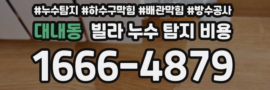 대내동 빌라 누수 탐지 비용