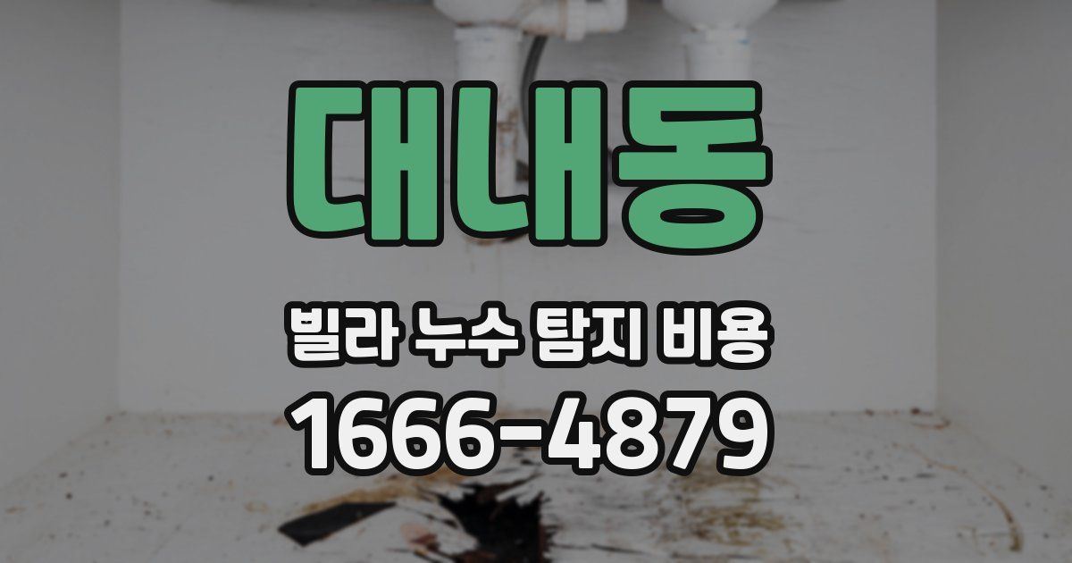 대내동 빌라 누수 탐지 비용