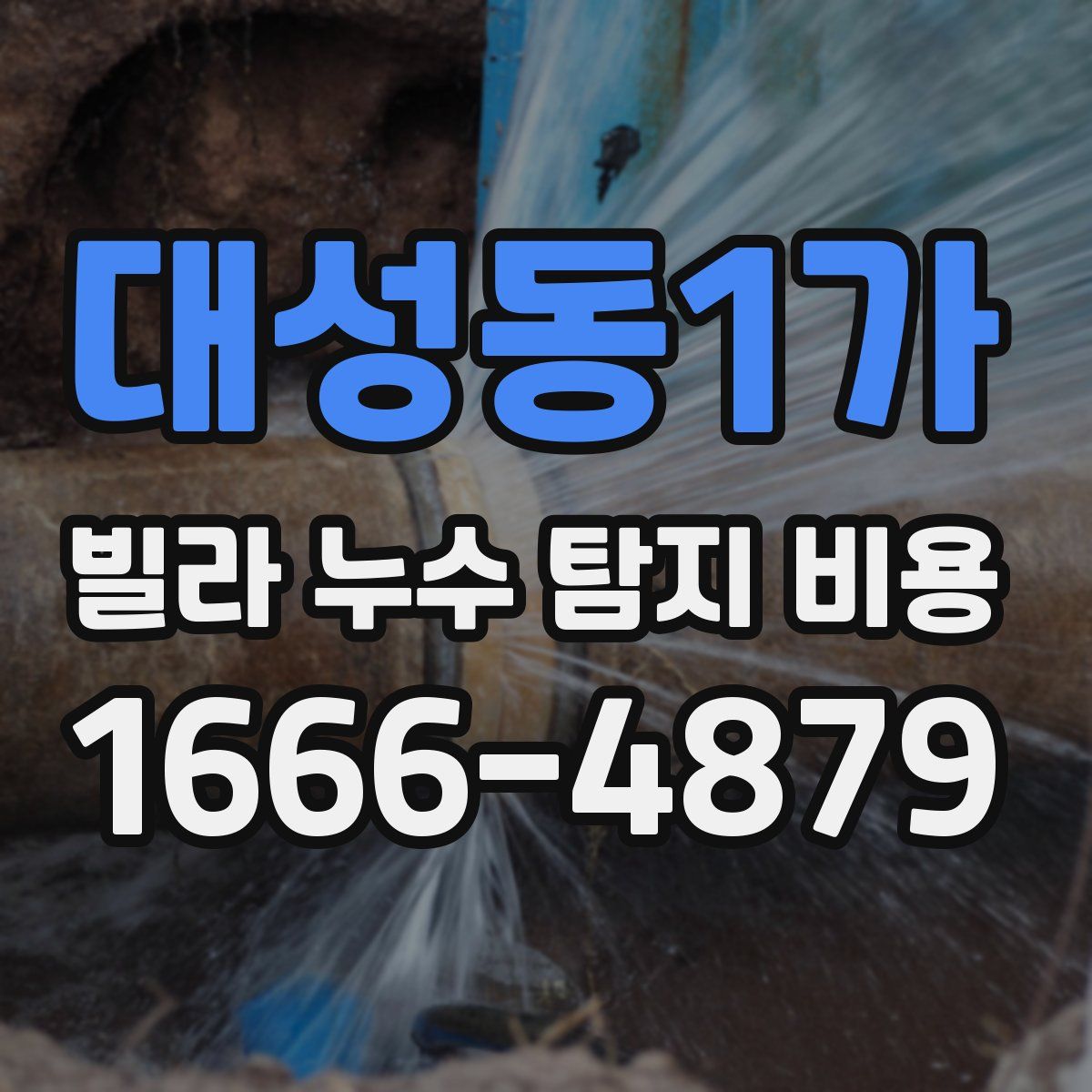 대성동1가 빌라 누수 탐지 비용