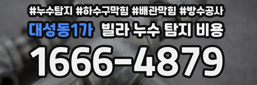 대성동1가 빌라 누수 탐지 비용