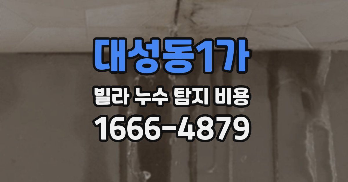 대성동1가 빌라 누수 탐지 비용