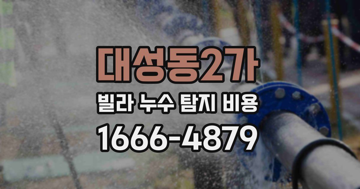 대성동2가 빌라 누수 탐지 비용