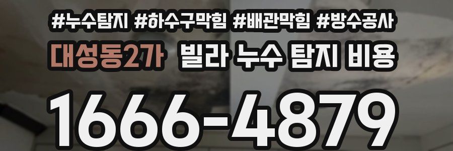 대성동2가 빌라 누수 탐지 비용