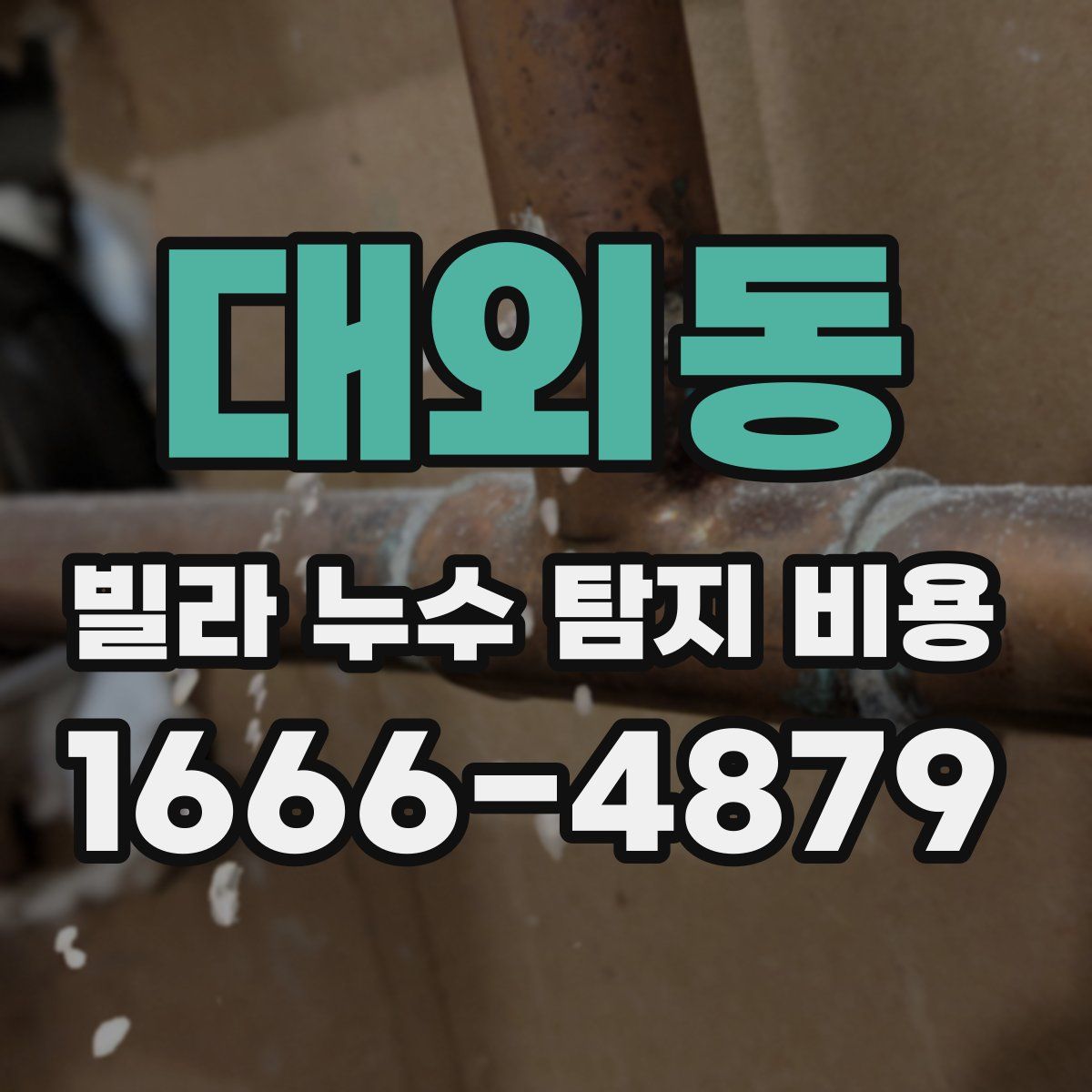 대외동 빌라 누수 탐지 비용