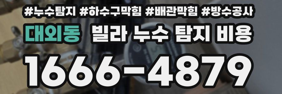 대외동 빌라 누수 탐지 비용