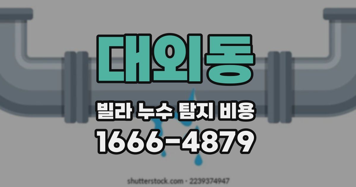 대외동 빌라 누수 탐지 비용