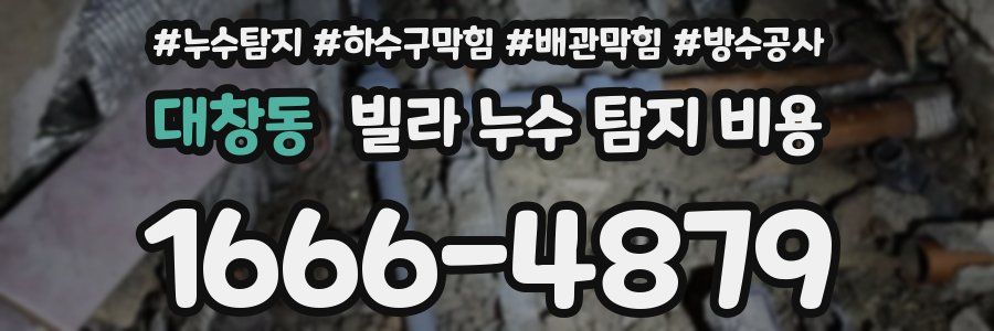 대창동 빌라 누수 탐지 비용