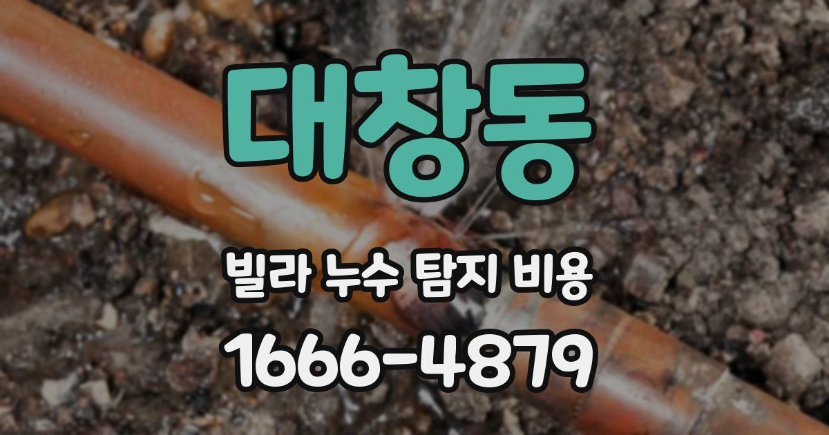 대창동 빌라 누수 탐지 비용