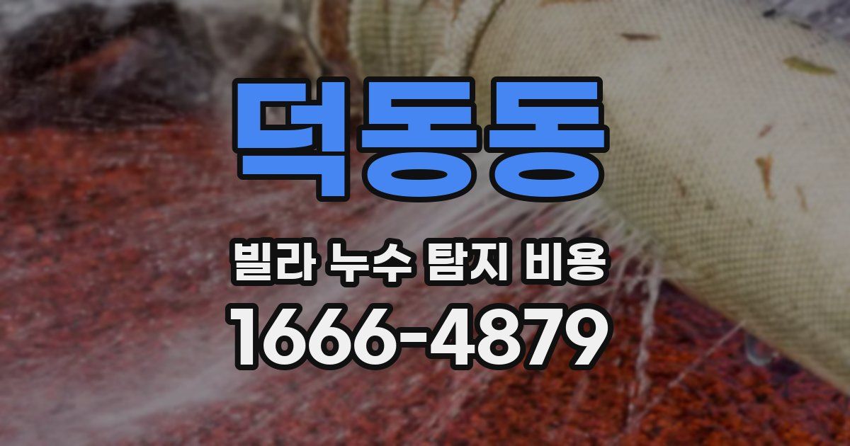 덕동동 빌라 누수 탐지 비용