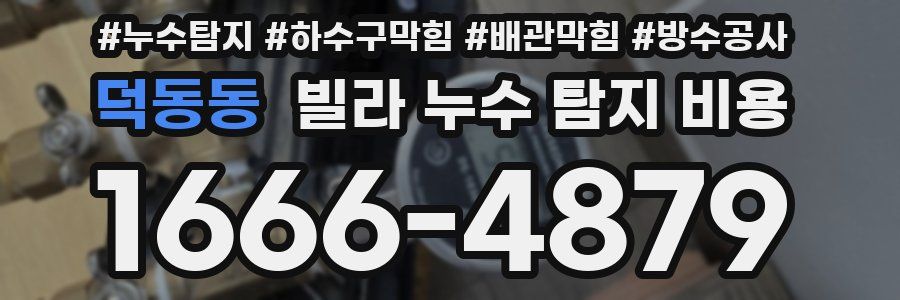 덕동동 빌라 누수 탐지 비용
