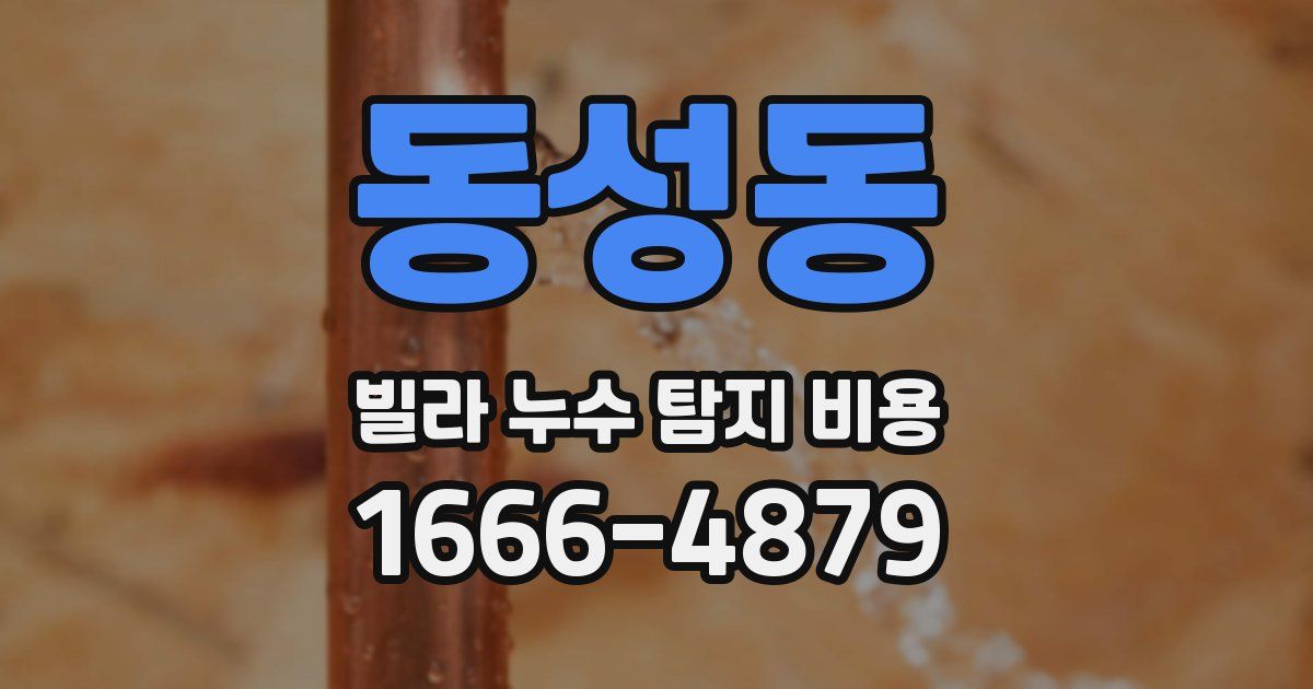 동성동 빌라 누수 탐지 비용