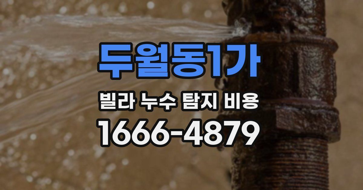 두월동1가 빌라 누수 탐지 비용