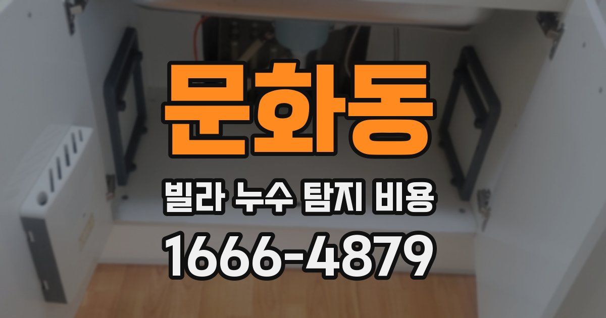문화동 빌라 누수 탐지 비용