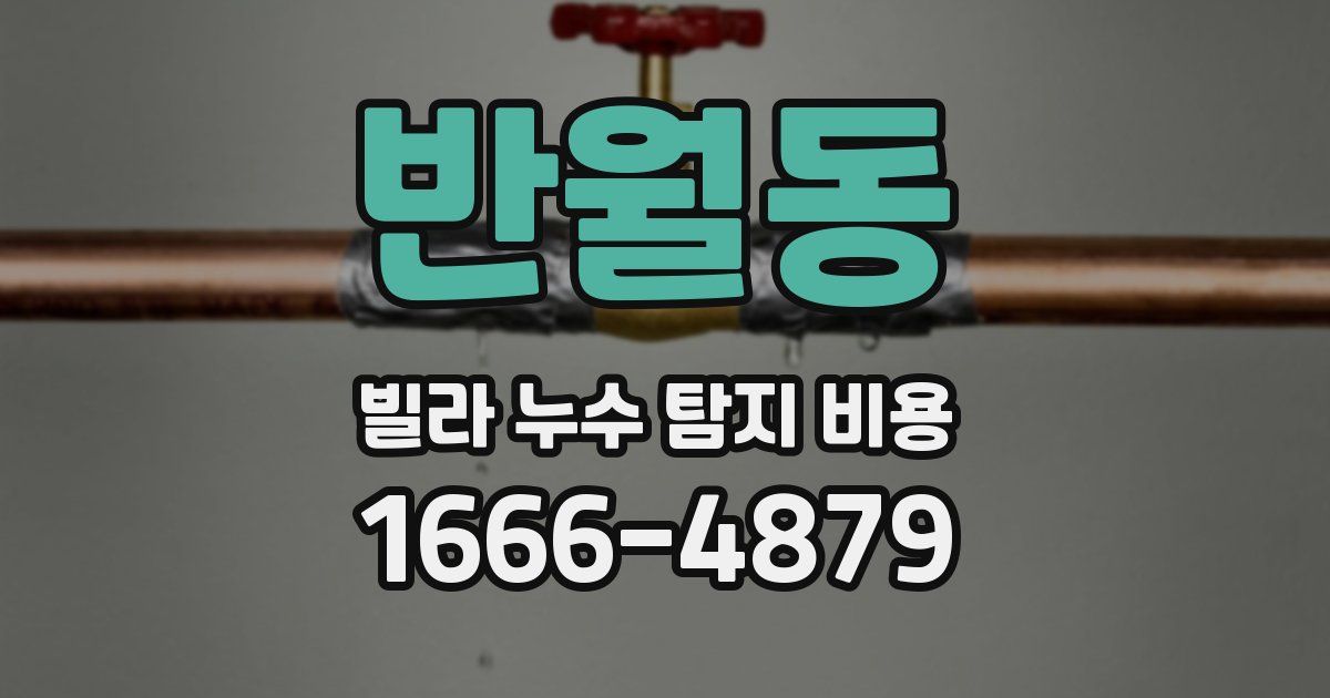 반월동 빌라 누수 탐지 비용