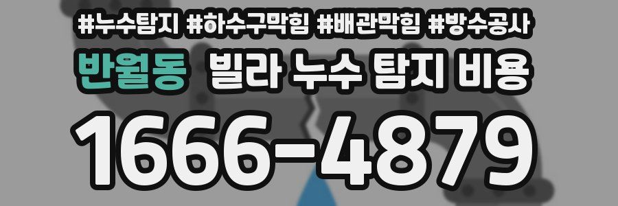 반월동 빌라 누수 탐지 비용