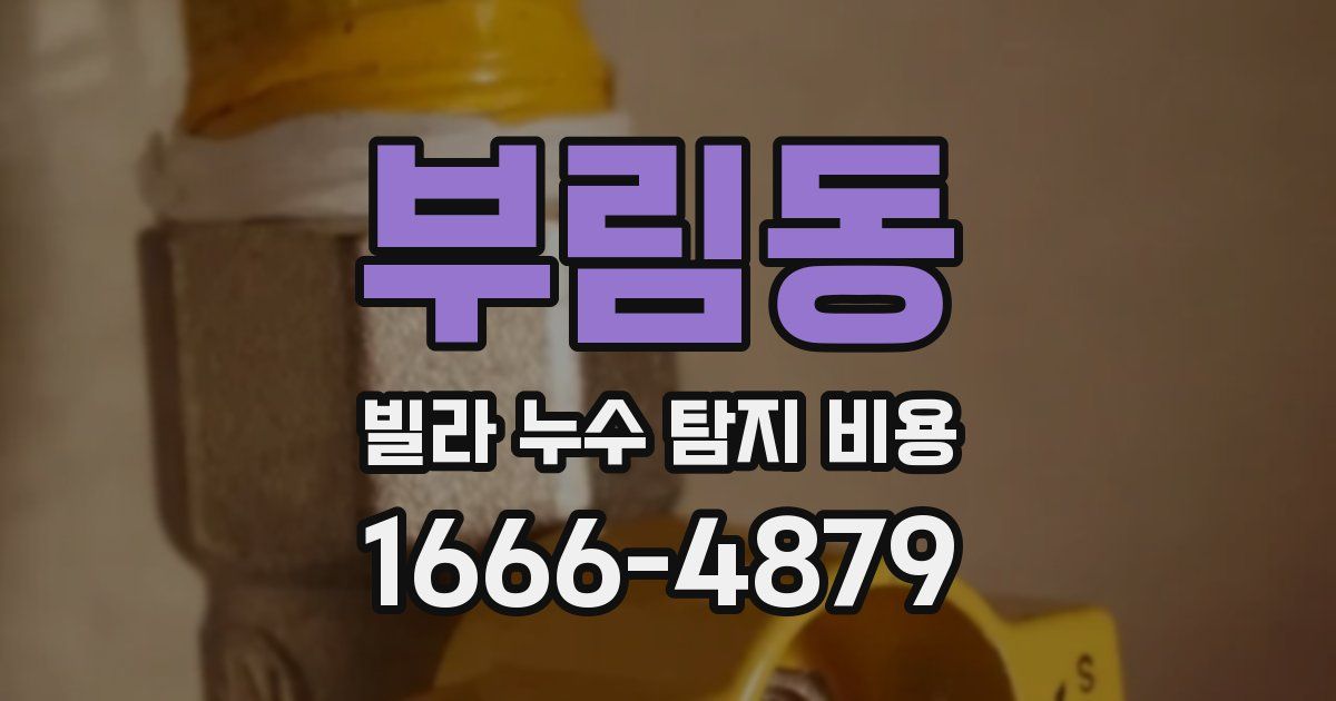 부림동 빌라 누수 탐지 비용