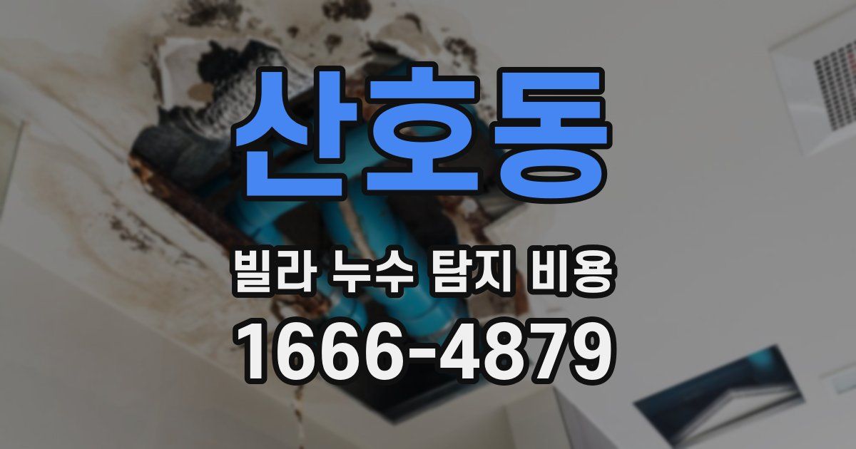 산호동 빌라 누수 탐지 비용