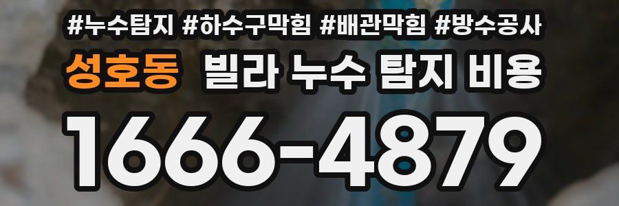 성호동 빌라 누수 탐지 비용