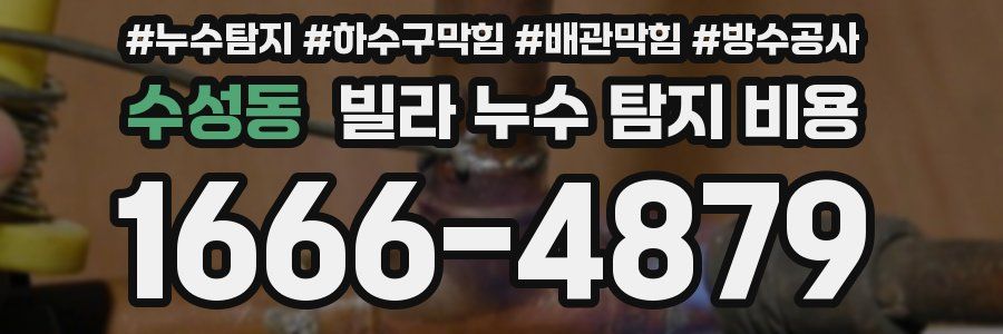 수성동 빌라 누수 탐지 비용