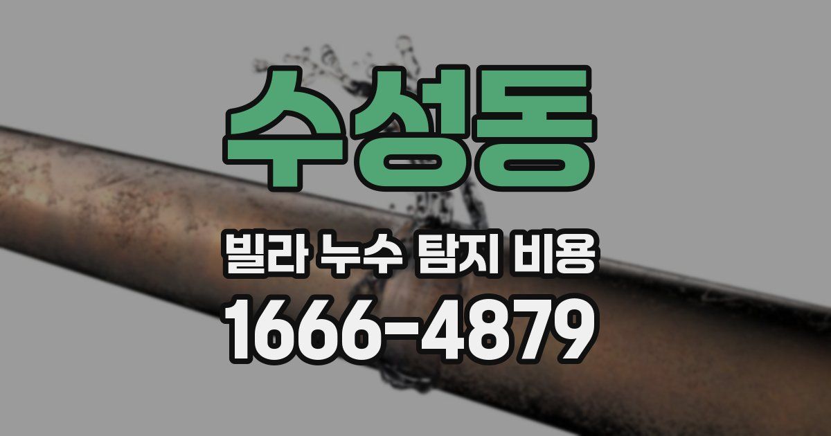 수성동 빌라 누수 탐지 비용