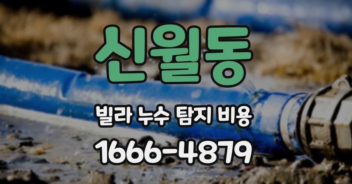 신월동 빌라 누수 탐지 비용
