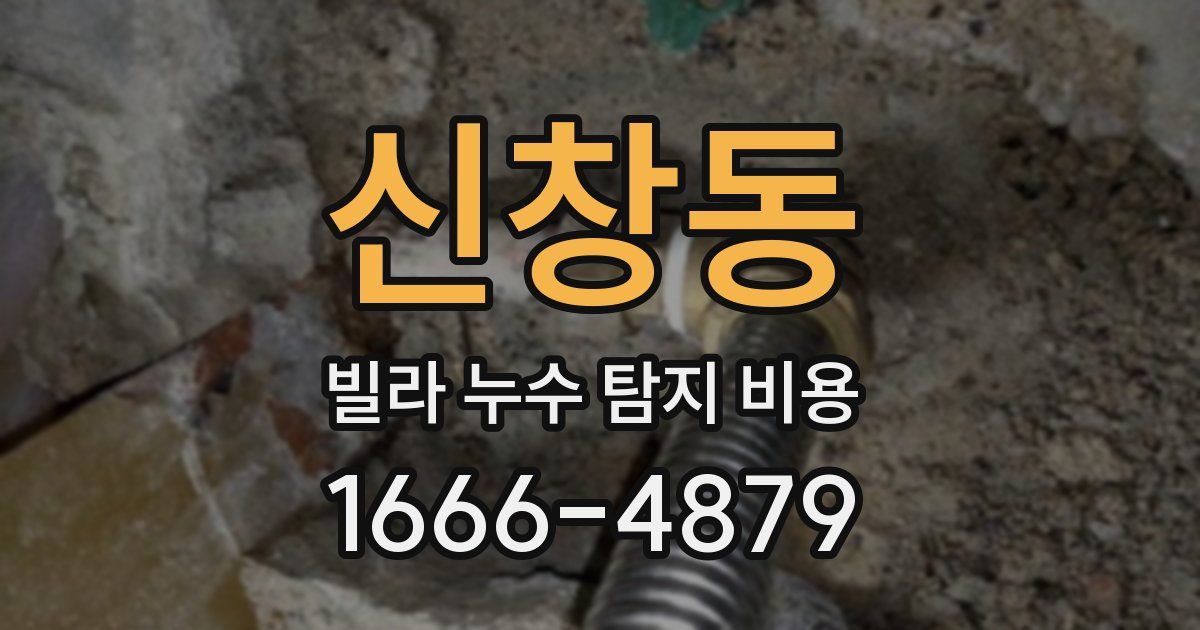 신창동 빌라 누수 탐지 비용