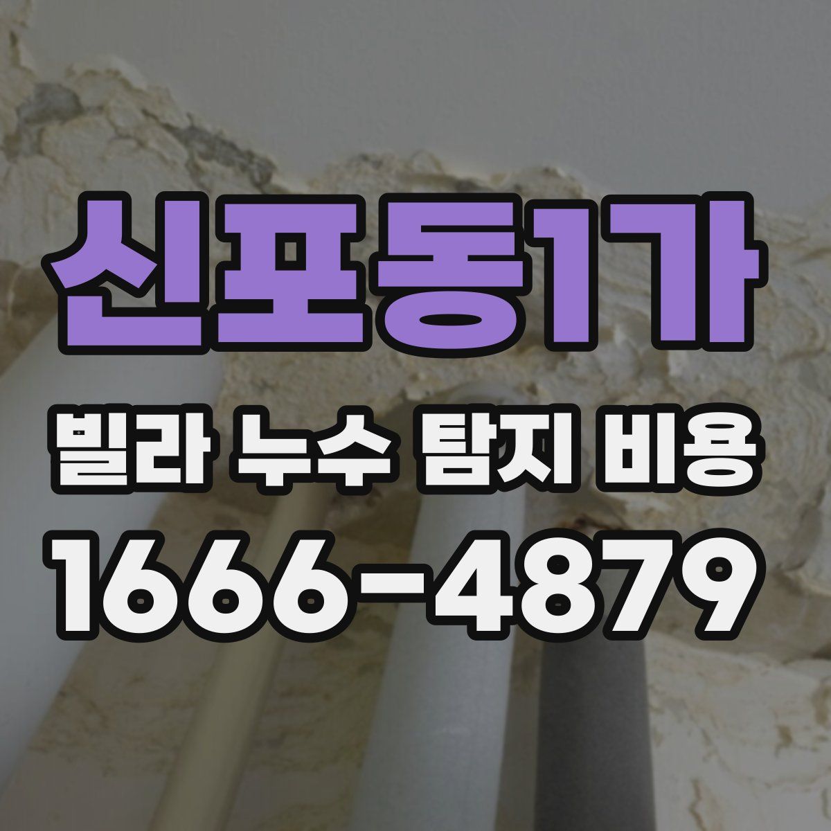신포동1가 빌라 누수 탐지 비용