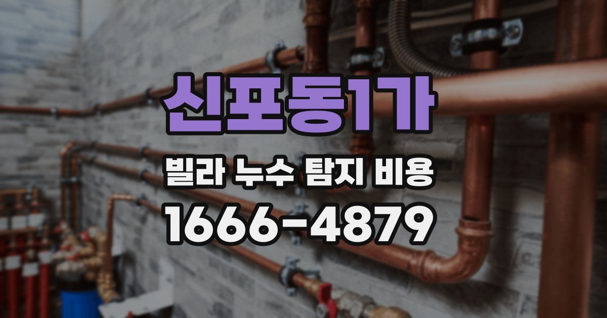 신포동1가 빌라 누수 탐지 비용