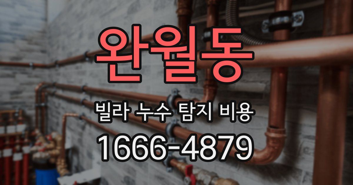 완월동 빌라 누수 탐지 비용