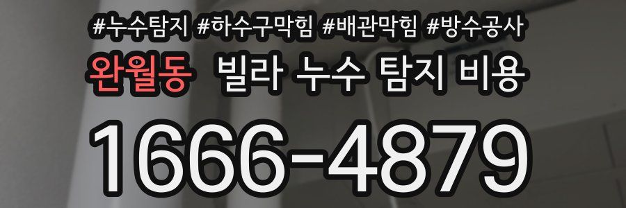 완월동 빌라 누수 탐지 비용