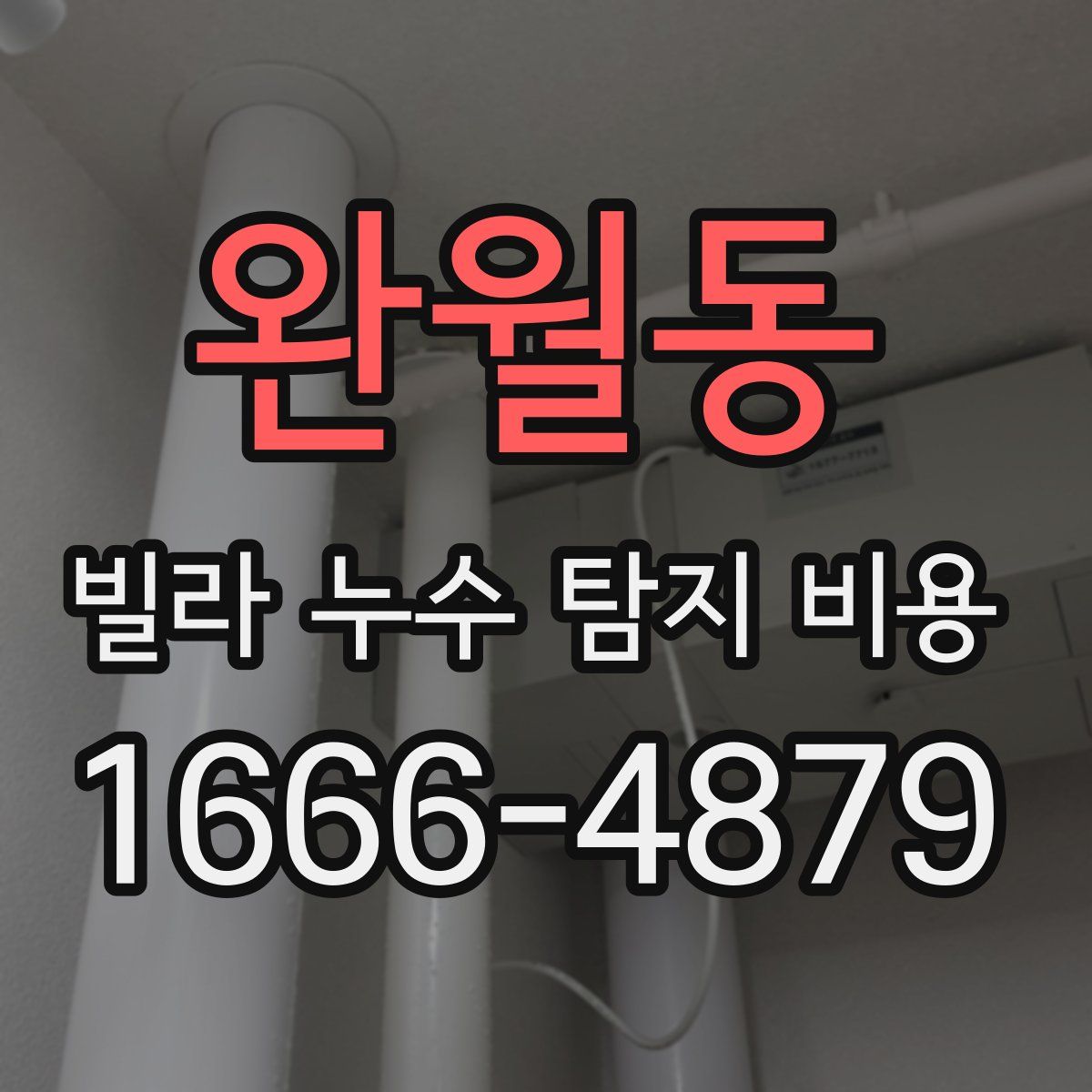 완월동 빌라 누수 탐지 비용
