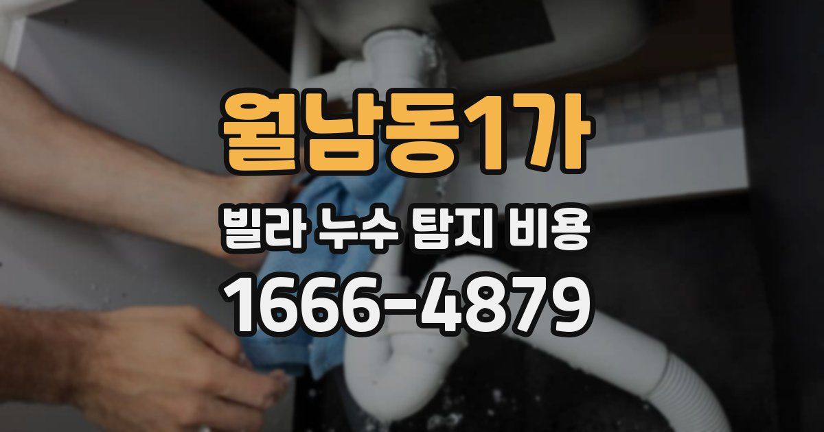 월남동1가 빌라 누수 탐지 비용