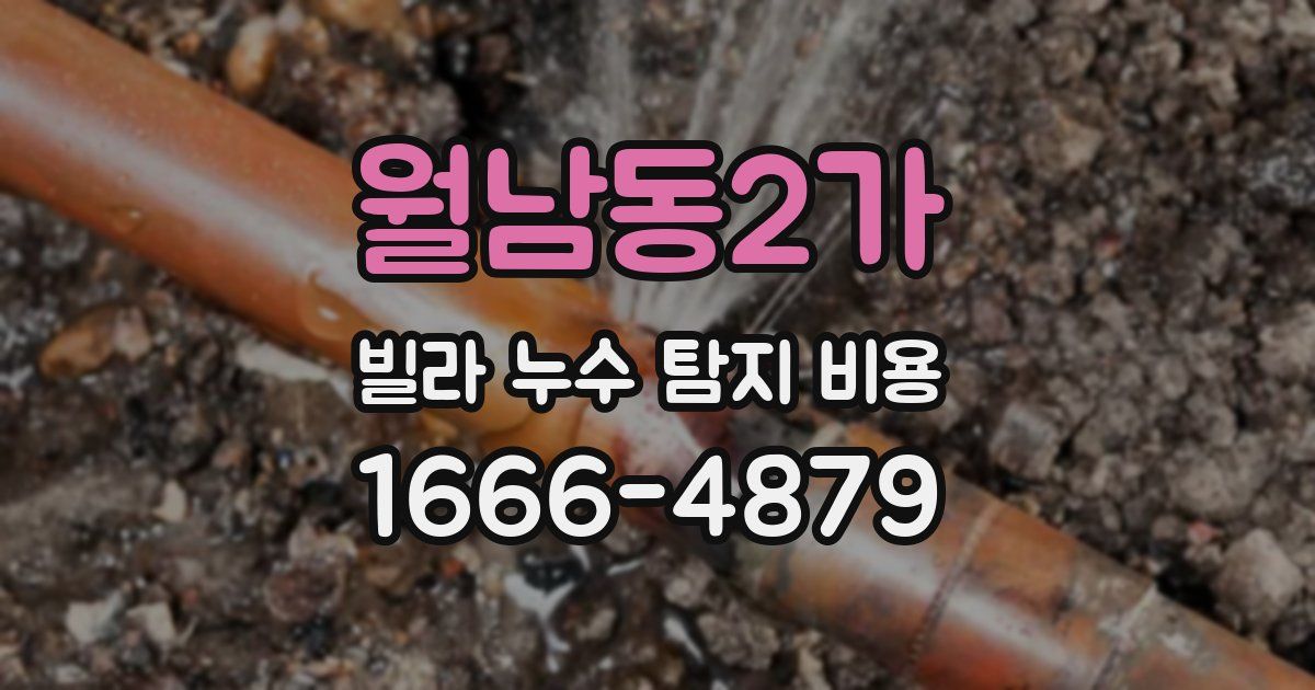 월남동2가 빌라 누수 탐지 비용