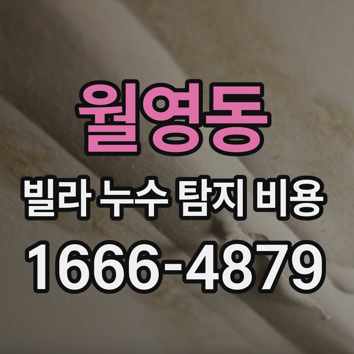 월영동 빌라 누수 탐지 비용