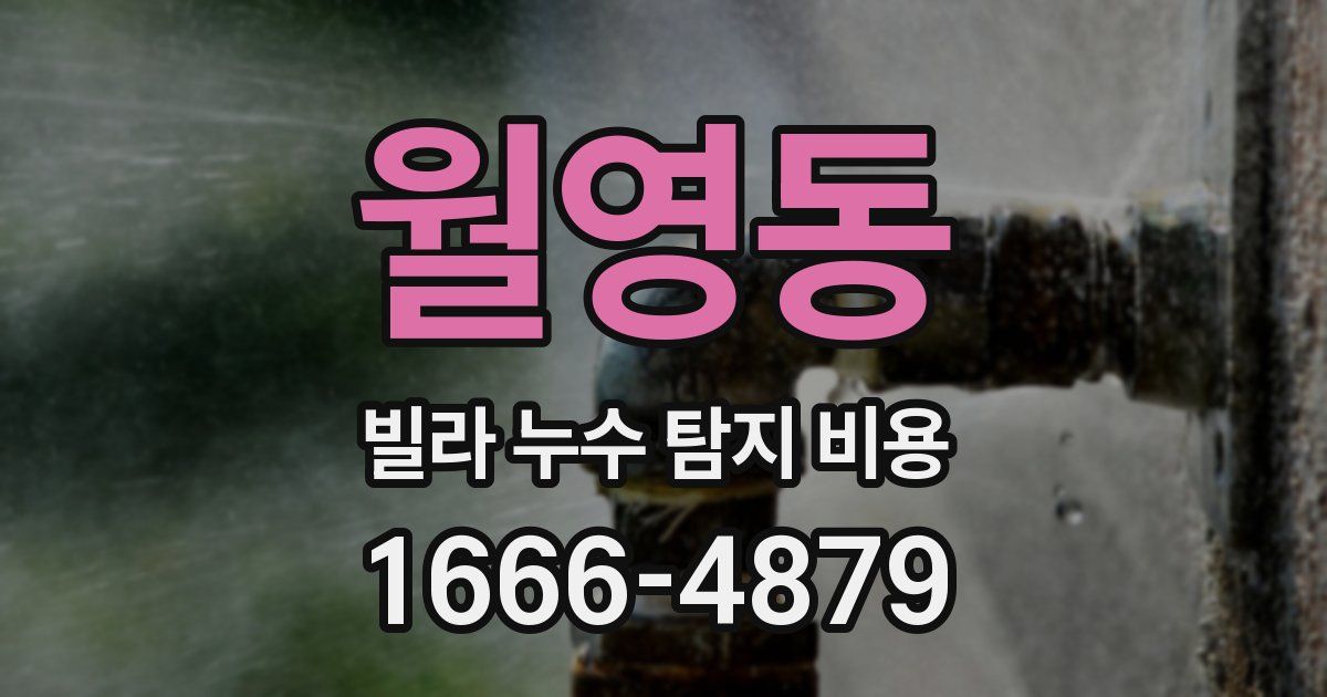 월영동 빌라 누수 탐지 비용