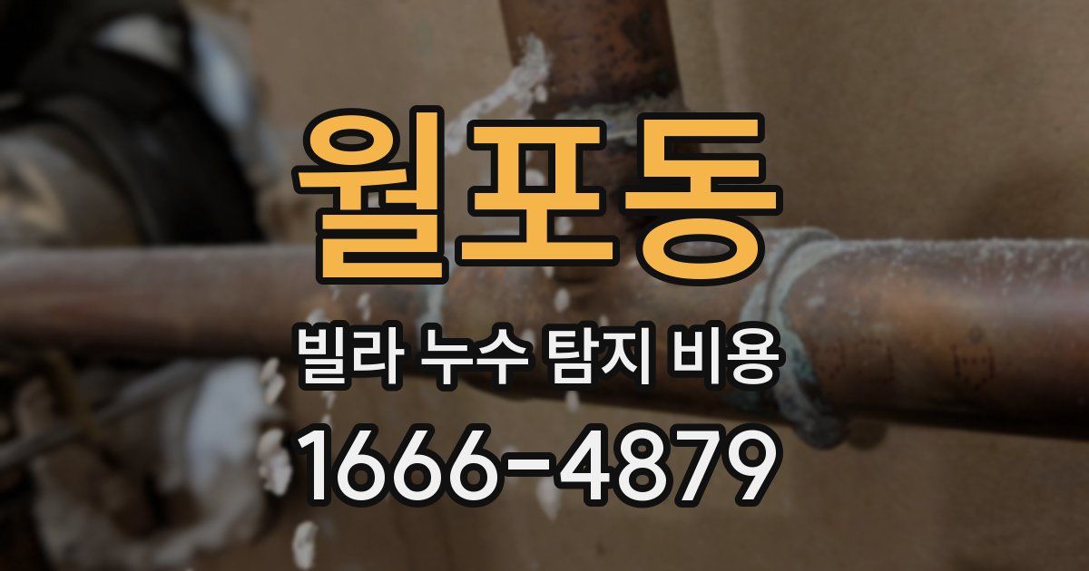 월포동 빌라 누수 탐지 비용