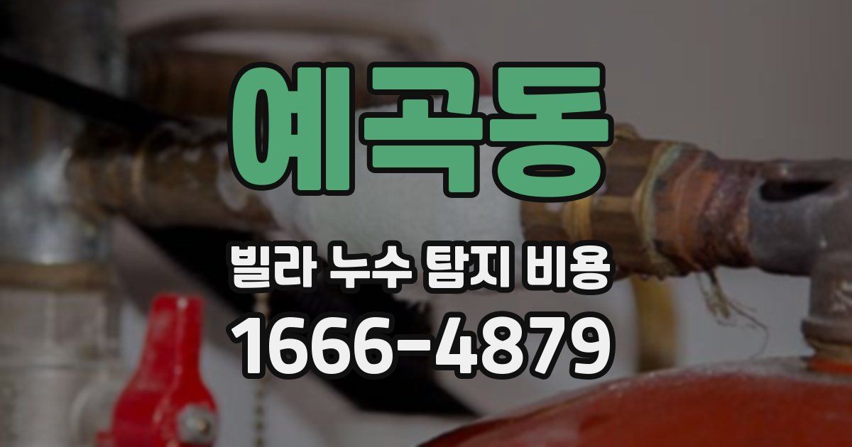 예곡동 빌라 누수 탐지 비용