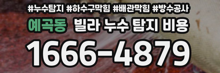 예곡동 빌라 누수 탐지 비용