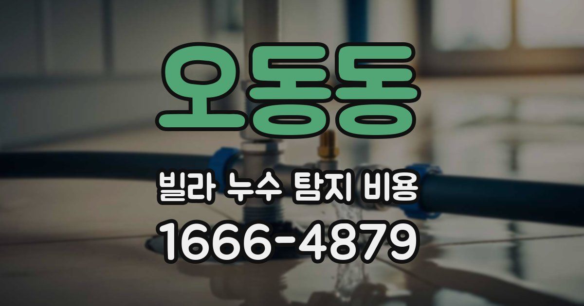 오동동 빌라 누수 탐지 비용